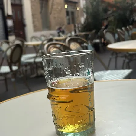 Le Petit Briand - Le Champ De Mars Apartman